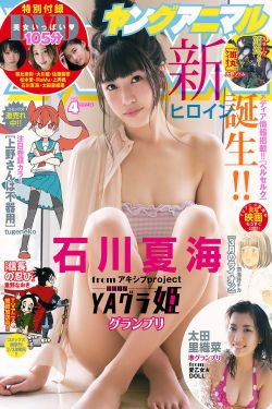 赘婿第二季